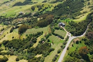 Waiheke Island: Wine, Gin, and Olive Oil Tour with Lunch