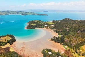 Waiheke Island: Wine, Gin, and Olive Oil Tour with Lunch