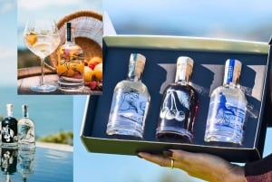 Waiheke Island: Wine, Gin, and Olive Oil Tour with Lunch