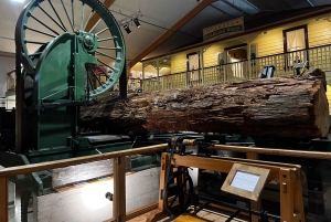 Waipoua KAURI Wald, Tane Mahuta & Museum Tour ab Auckland