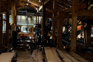 Waipoua KAURI Wald, Tane Mahuta & Museum Tour ab Auckland