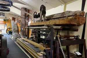 Waipoua KAURI Wald, Tane Mahuta & Museum Tour ab Auckland