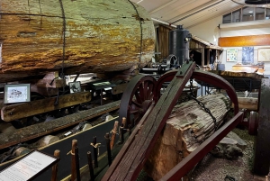 Waipoua KAURI Wald, Tane Mahuta & Museum Tour ab Auckland