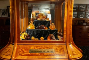 Waipoua KAURI Wald, Tane Mahuta & Museum Tour ab Auckland