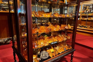 Waipoua KAURI Forest, Tane Mahuta & Museum Tour Ex Auckland