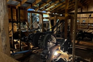 Waipoua KAURI Forest, Tane Mahuta & Museum Tour Ex Auckland