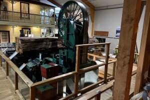 Waipoua KAURI Forest, Tane Mahuta & Museum Tour Ex Auckland