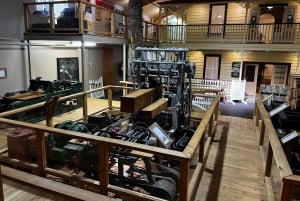 Waipoua KAURI Forest, Tane Mahuta & Museum Tour Ex Auckland