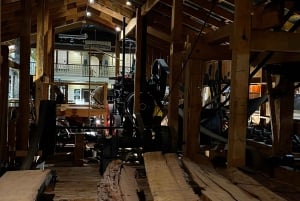 Waipoua KAURI Forest, Tane Mahuta & Museum Tour Ex Auckland