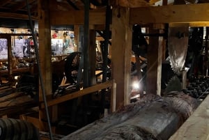 Waipoua KAURI Forest, Tane Mahuta & Museum Tour Ex Auckland