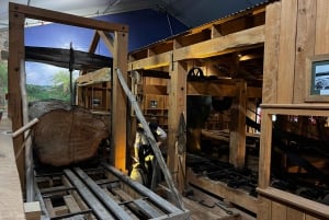 Waipoua KAURI Forest, Tane Mahuta & Museum Tour Ex Auckland