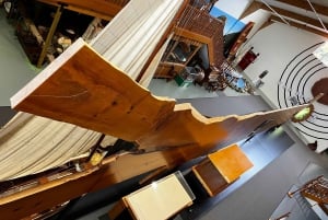 Waipoua KAURI Forest, Tane Mahuta & Museum Tour Ex Auckland