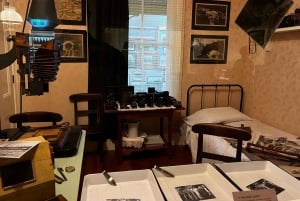 Waipoua KAURI Forest, Tane Mahuta & Museum Tour Ex Auckland