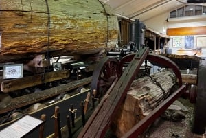 Waipoua KAURI Forest, Tane Mahuta & Museum Tour Ex Auckland