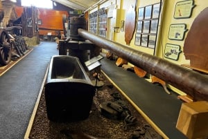 Waipoua KAURI Forest, Tane Mahuta & Museum Tour Ex Auckland