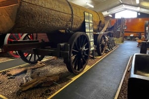 Waipoua KAURI Forest, Tane Mahuta & Museum Tour Ex Auckland