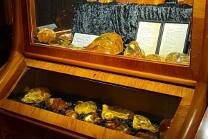 Waipoua KAURI Forest, Tane Mahuta & Museum Tour Ex Auckland