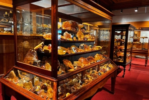 Waipoua KAURI Forest, Tane Mahuta & Museum Tour Ex Auckland