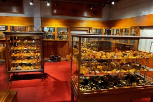 Waipoua KAURI Forest, Tane Mahuta & Museum Tour Ex Auckland