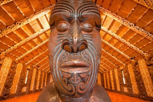 Waitangi Treaty Grounds -opastettu kierros