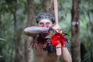 Waitangi Treaty Grounds -opastettu kierros
