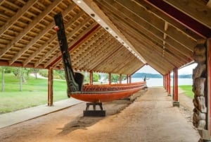 Waitangi Treaty Grounds -opastettu kierros