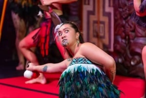 Waitangi Treaty Grounds -opastettu kierros