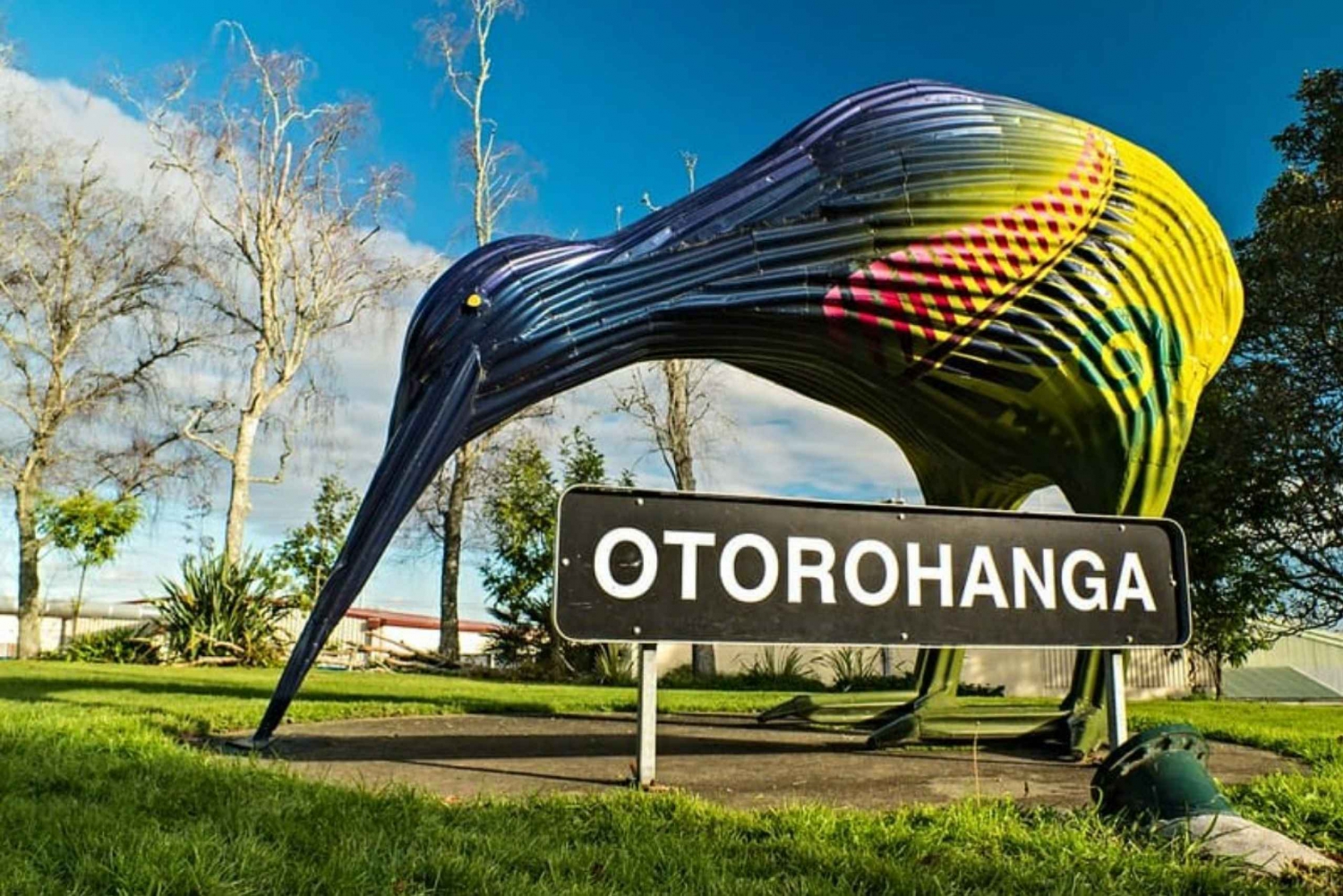 From Auckland: Waitomo Caves and Otorohanga Kiwi House Trip