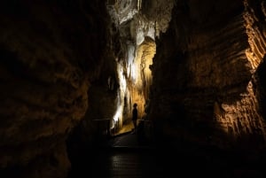 VER LUISANT DE WAITOMO ET GROTTES DE RUAKURI - VISITE PRIVÉE AU DÉPART D'AUCKLAND