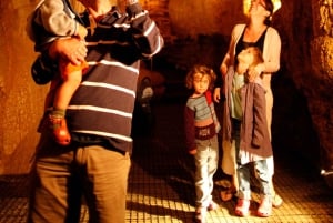 VER LUISANT DE WAITOMO ET GROTTES DE RUAKURI - VISITE PRIVÉE AU DÉPART D'AUCKLAND