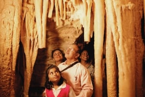 VER LUISANT DE WAITOMO ET GROTTES DE RUAKURI - VISITE PRIVÉE AU DÉPART D'AUCKLAND