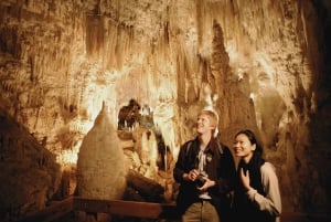 VER LUISANT DE WAITOMO ET GROTTES DE RUAKURI - VISITE PRIVÉE AU DÉPART D'AUCKLAND