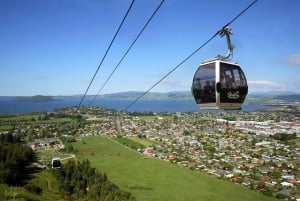 Waitomo & Rotorua Day Trip from Auckland with Gondola Ride