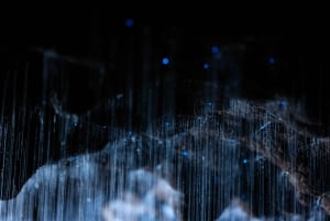 Cavernas de Waitomo RUAKURI e Jardins de Hamilton - Tour de um dia saindo de AKL