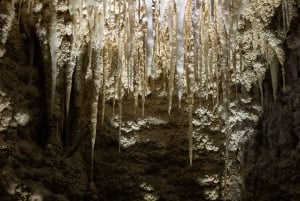 Cavernas de Waitomo RUAKURI e Jardins de Hamilton - Tour de um dia saindo de AKL