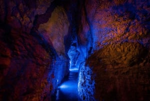 Cavernas de Waitomo RUAKURI e Jardins de Hamilton - Tour de um dia saindo de AKL