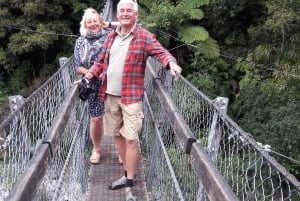 Wellington: Lord of the Rings Filming Locations Tour