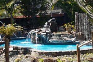 West Auckland: Sunset with Thermal pool & Wine Tasting