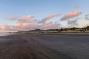 West Auckland: Sunset with Thermal pool & Wine Tasting