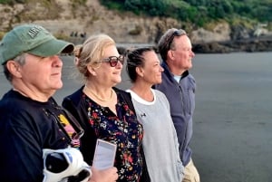 West Auckland: Sunset with Thermal pool & Wine Tasting