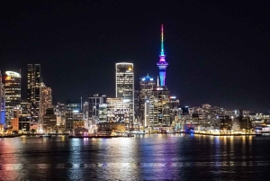 West Auckland: Sunset with Thermal pool & Wine Tasting