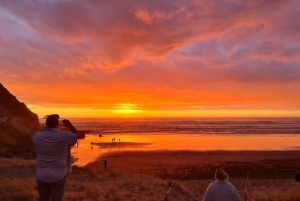 West Auckland: Sunset with Thermal pool & Wine Tasting