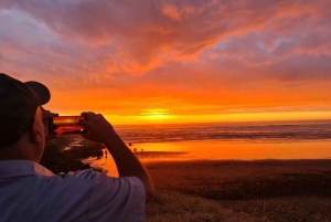 West Auckland: Sunset with Thermal pool & Wine Tasting