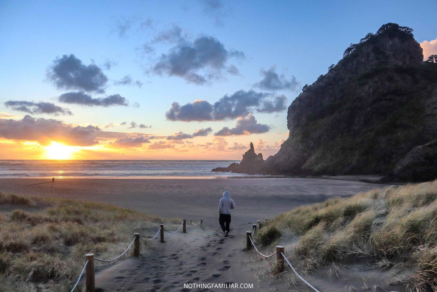 West Coast Discovery Piha Beach Private Tour