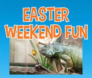 Easter Fun at Butterfly Creek