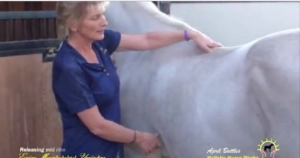 Musculoskeletal Unwinding, New Zealand,
