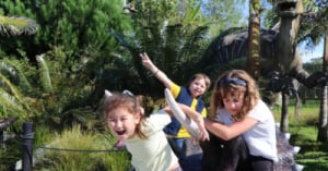 Summer Fun At Butterfly Creek