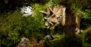 Summer Fun At Butterfly Creek