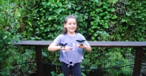 Summer Fun At Butterfly Creek