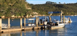 Whitianga Wharf